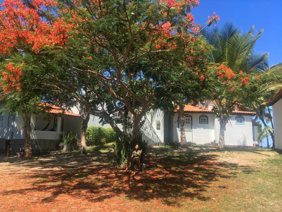 Alma Tropical Mini Resort 伊塔帕里卡岛维拉克鲁兹 外观 照片