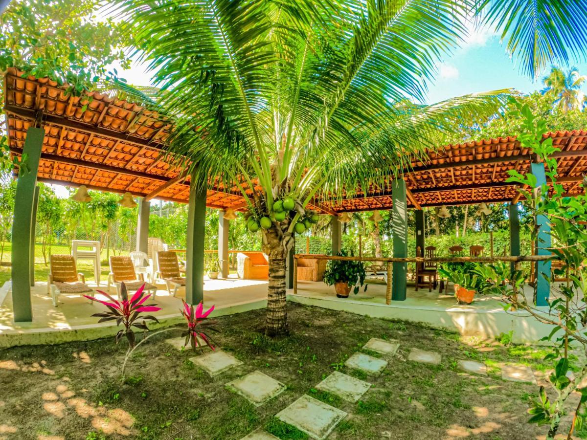 Alma Tropical Mini Resort 伊塔帕里卡岛维拉克鲁兹 外观 照片