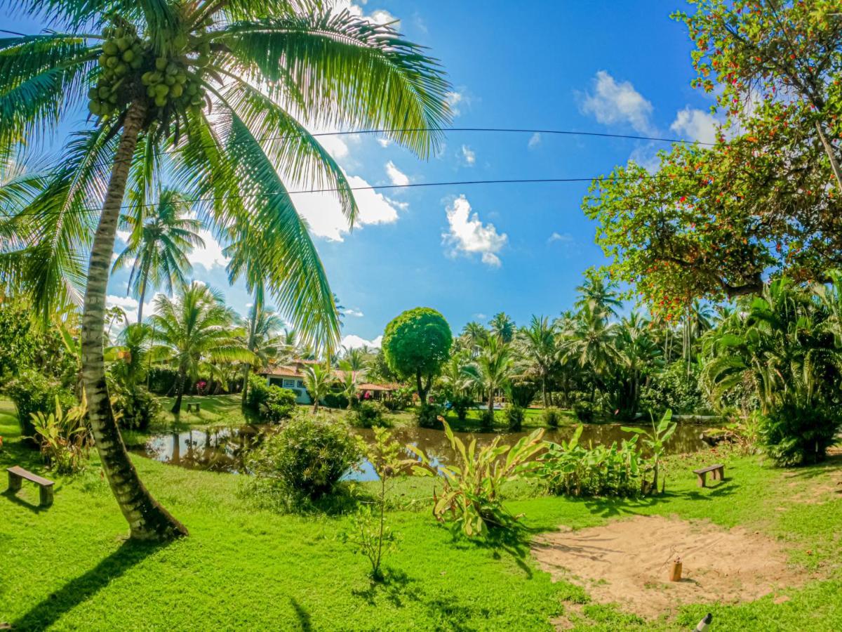 Alma Tropical Mini Resort 伊塔帕里卡岛维拉克鲁兹 外观 照片