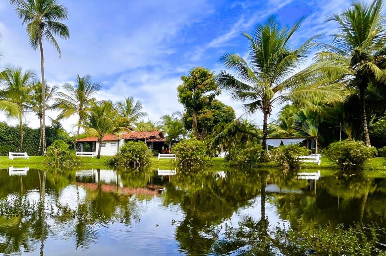 Alma Tropical Mini Resort 伊塔帕里卡岛维拉克鲁兹 外观 照片