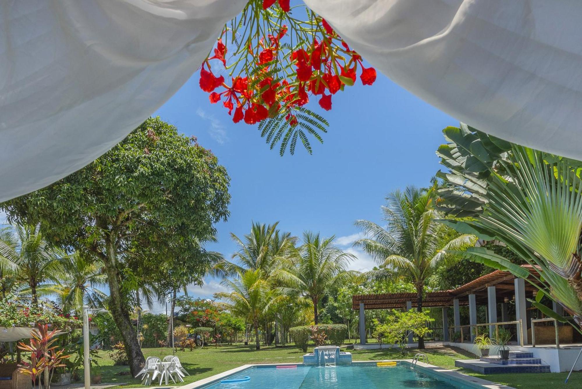 Alma Tropical Mini Resort 伊塔帕里卡岛维拉克鲁兹 外观 照片
